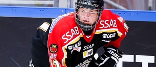 Drömstart för Luleå Hockey: "Lite för överlägsna"