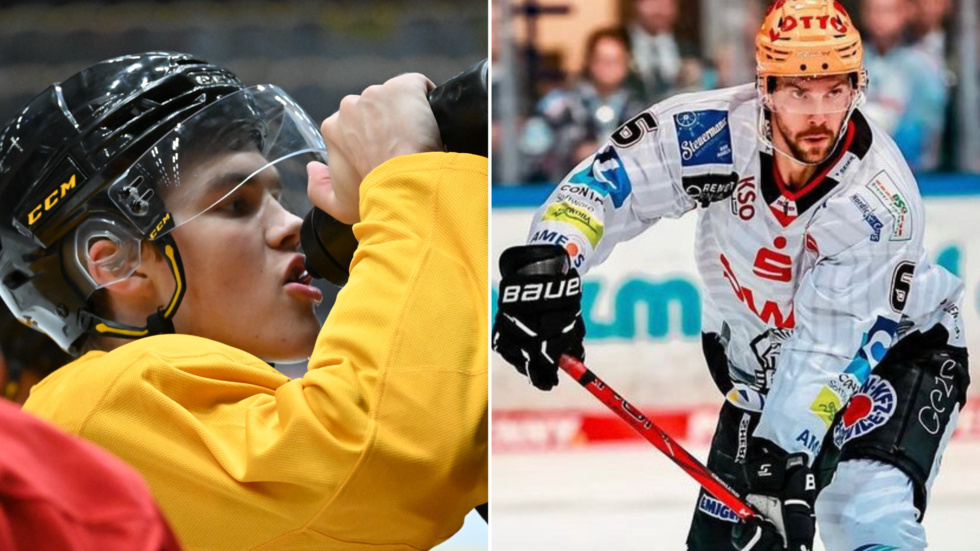 Skellefteå AIK:s superlöfte Axel Sandin-Pellikka och Fischtown Pinguins backveteran Anders Grönlund, ursprungligen från Piteå, hamnade i slagsmål när deras lag möttes i CHL på tisdagskvällen. (Arkivbilder)