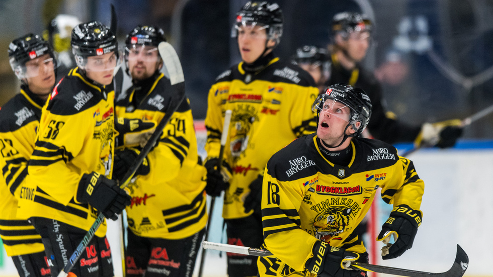 Som väntat har Vimmerby Hockey lägst spelarbudget i serien. Nu har det kommit fram nya siffror som visar hur stora skillnader det är mellan lagen.