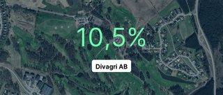 Här är siffrorna för Divagri AB senaste året