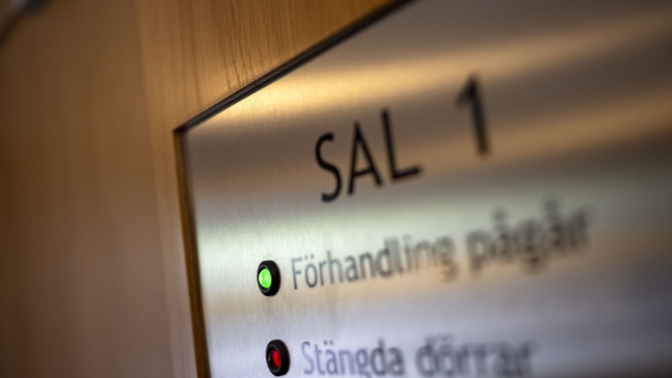 En man från Kalix döms till två och ett halvt års fängelse för bland annat grovt sexuellt övergrepp. Arkivbild.