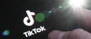 Fler länder förbjuder Tiktok för statsanställda