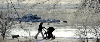 Dags för lämplighetsintyg för föräldrar?