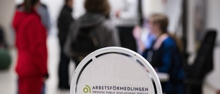 Arbetsförmedling är snarare arbetsförnedring