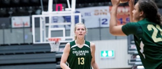 Succén kan ta henne till WNBA