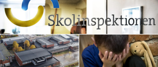 Visselblåsare larmar om mobbning på särskola – luckor i plan mot kränkande behandling: "Särskilt utsatt elevgrupp"