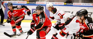 Luleå Hockey-back lånas ut till allsvensk klubb