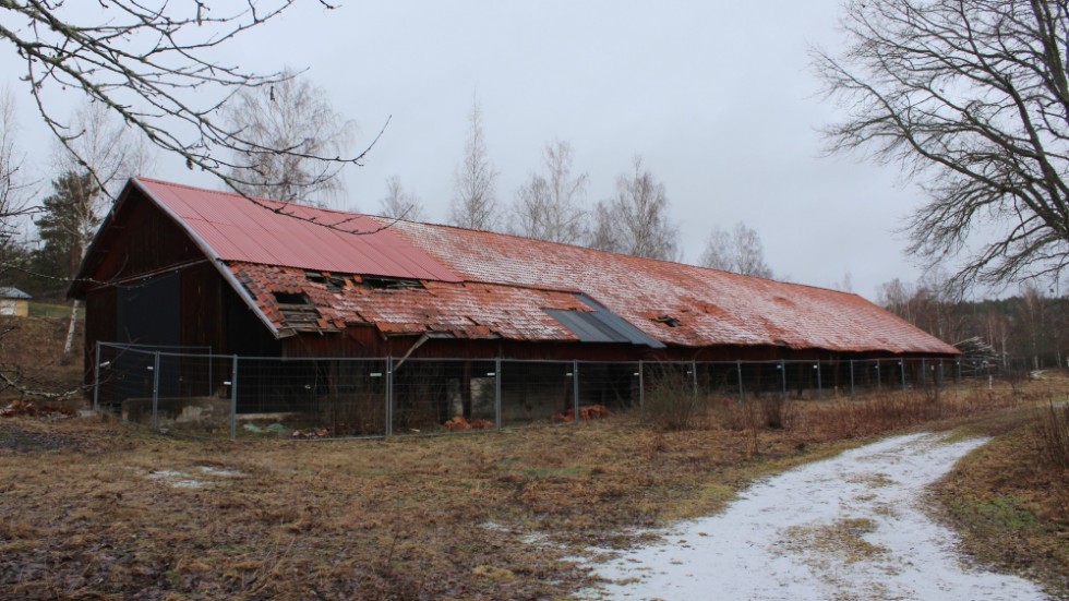 Massahusen Helgenäs. Det nordligaste huset, som är inhägnat och i sämre skick. 2017 föreslog en konsultutredning att husen skulle rustas upp. Husen kan användas som teaterlokal, uppställningslokal eller skatepark. 