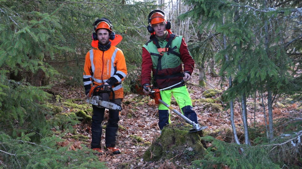Martin Johansson fyller 30 och har jobbat tio år i firman. Inge Johansson fyller 60 och har jobbat 20 år. Ett trippeljubileum utöver det vanliga.