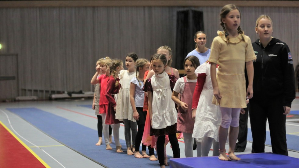 Uppvisning Visbygymnasterna