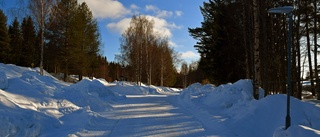 Läsarbilden: Vårvinterkänning 