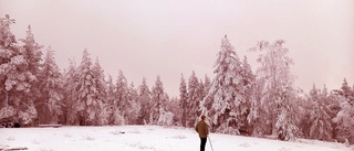 Läsarbilden: Första advent i rosa