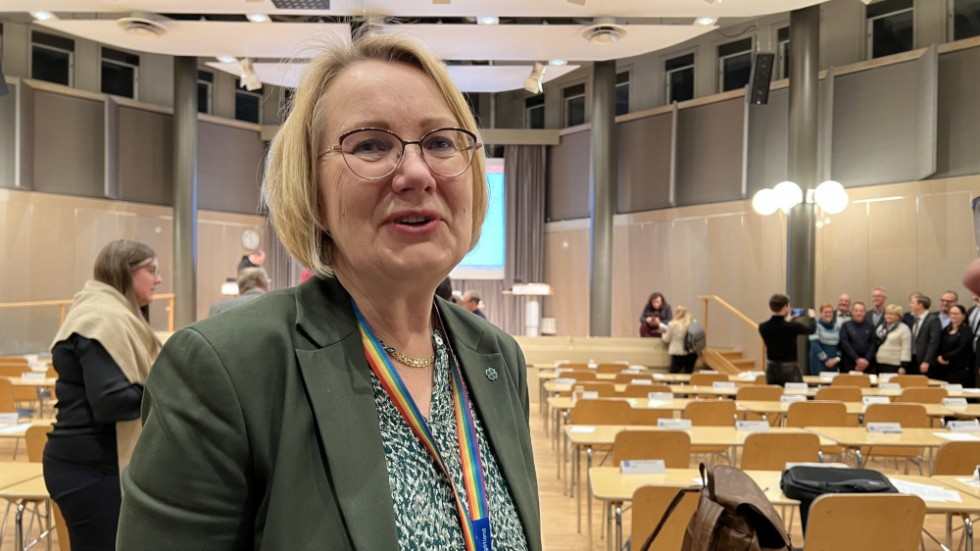 Kerstin Sjöberg är vice gruppledare för C i regionen. 