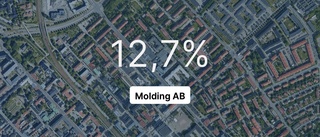 Årsredovisningen klar: Så gick det för Molding AB