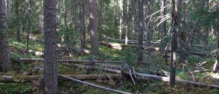 Kommunen kritiserar naturreservat