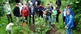 Ny Krokeksek vid Ödekyrkan