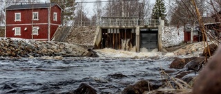 Rivning av verken enfråga om perspektiv