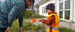 Förskolläraren om deras klimatsatsning: "Vi måste börja med barnen" • Naturnära dagar ska ge barnen framtidstro