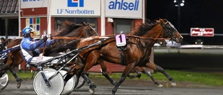 Mästerstyrning i Mäster Gustafs Pokal – norsk gäst triumferade och vann 115 000