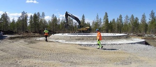 BDX utökar i Markbygden