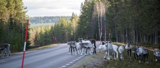 Kräver utredning kring tågtestbanan