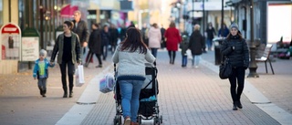 Fortsatta tankar om Piteås framtid