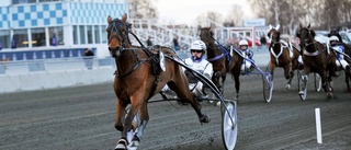 Piteå-Bodenderby i V75