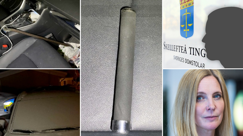 Åklagare Stina Stener menade att 33-åringen skulle dömas för både grov misshandel som hemfridsbrott. Tingsrätten bedömer misshandeln med batongen som allvarlig men inte ett grovt brott.