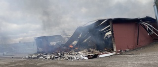 Över 17 000 höns döda – storbrand utanför Linköping