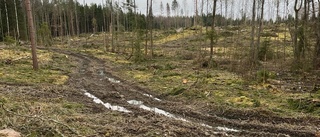 "Lämnat efter sig ett apokalyptiskt landskap"