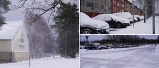 Bakslag för våren – snön kom tillbaka