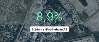 Brant intäktsfall för Städarna i Katrineholm AB - ner 28,7 procent