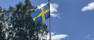 Midsommarfirandet i Bonnstan: "Kul med mycket folk"