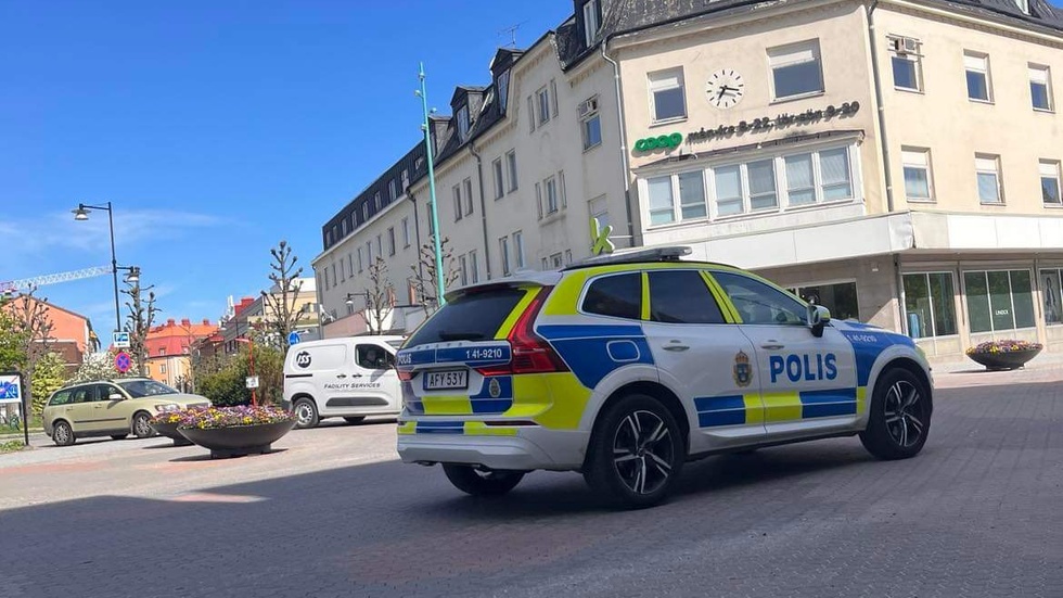 Mannen döms för våldsamt motstånd och hot mot tjänsteman i Kvarnengallerian, samt sexuellt ofredande mot fyra unga flickor. 