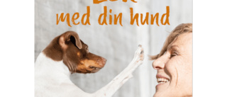 Kontaktkontraktet - lek med din hund 