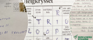 Obegriplig utdelning av brev – hamnade totalt fel