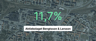 Aktiebolaget Bengtsson & Larsson redovisar marginal som slår branschsnittet