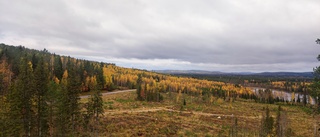 Höstskön bild från bergen ovanför Boden