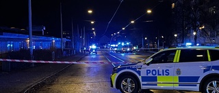 19-årig kvinna häktades för uppmärksammade mordet