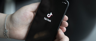 Tiktok och X kan få veta allt som sina användare