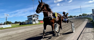 Hemmahästar ramade in torsdagens lunchtrav