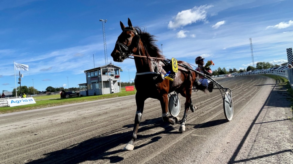 En övertygande vinnare defilerar framför publiken på Skrubbs. Return Of Mogens var bara bäst för Claes Sjöström som körde åt tränare Anette Flodman. 