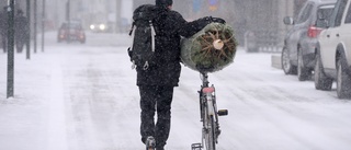 Hoppet lever om en vit jul i hela Sverige