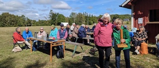 SPF Treklangens final i Mölkky