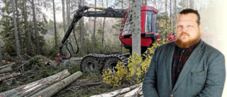 Vi kan inte ställa in skogsbruket bara för att det levt folk förr