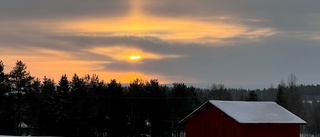 Börjelslandet en eftermiddag i ljus