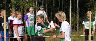 Dubbelseger för Boxholm-Mjölby