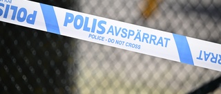 Man häktad för mord på gravid kvinna