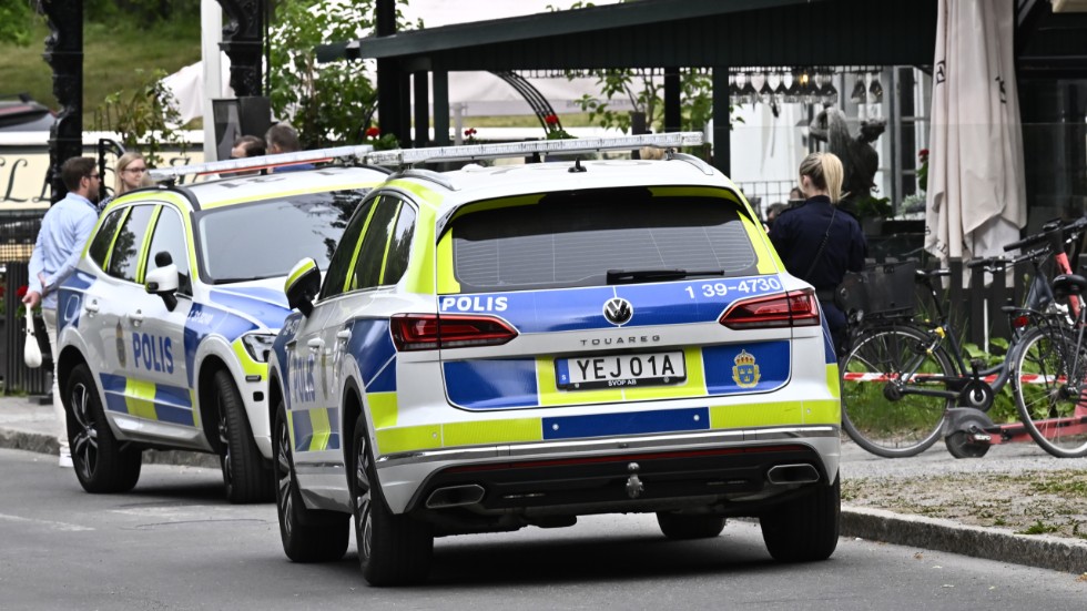 Flera hästar tillhörande en eventprofil från Norrbotten skenade på Djurgården i Stockholm i somras och skadade flera personer. (Arkivbild)