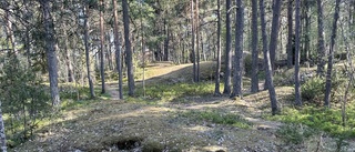 Klart att Norra skogen i Flogsta ska få förbli en skog